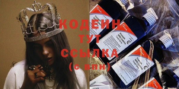 мдпв Новозыбков