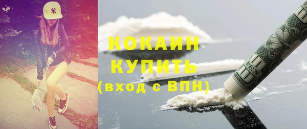 мдпв Новозыбков