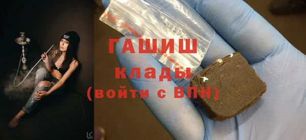 мдпв Новозыбков