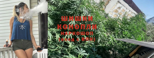мдпв Новозыбков