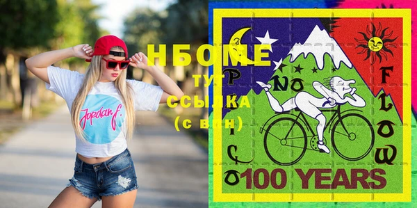 мдпв Новозыбков