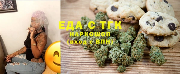 мдпв Новозыбков