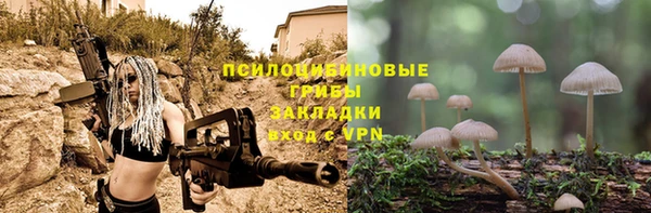 ПСИЛОЦИБИНОВЫЕ ГРИБЫ Новодвинск