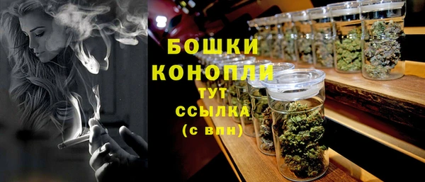 ПСИЛОЦИБИНОВЫЕ ГРИБЫ Новодвинск