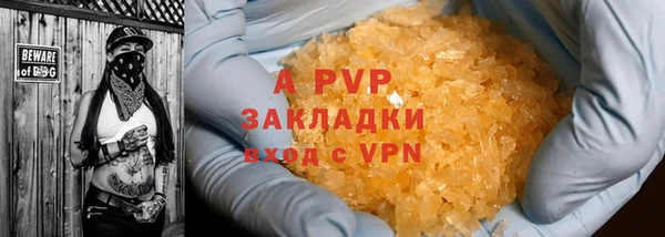 мдпв Новозыбков