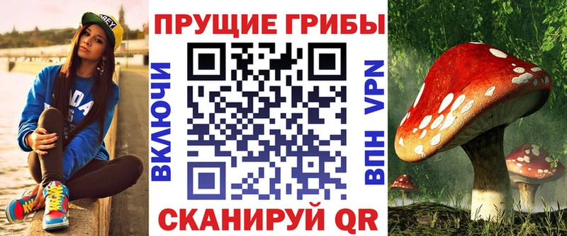 ОМГ ОМГ ссылка  Чишмы  Галлюциногенные грибы мицелий 